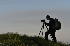 Bruno-al-lavoro-foto-Ugo_DSC9301