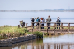 Comacchio-Valle-Santa-10