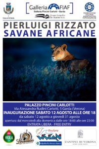 2023-08-12 2023-08-31 Rizzato Pierluigi - Mostra fotografica - Savane africane