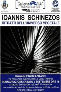 2023-09-02 2023-09-21 Schinezos Ioannis - Ritratti dell'universo vegetale