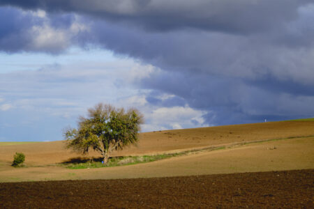 AM - 1° - Correale Federico - Foto N° 17 - Dopo il temporale